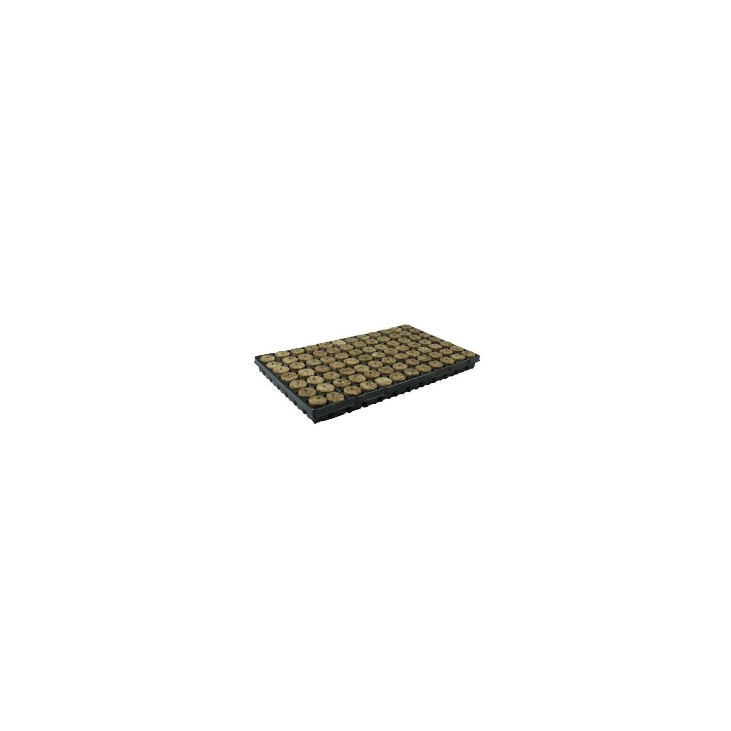 Bandeja Speedgrow Green de Speedgrow