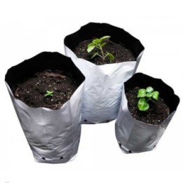 Bolsa De Cultivo 100 Unidades de Genericos MP
