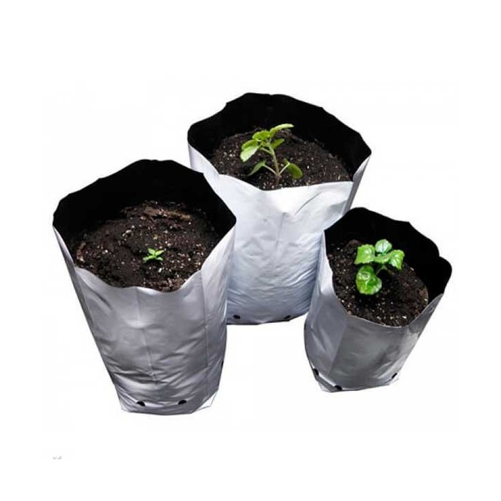 Bolsa De Cultivo 100 Unidades de Genericos MP