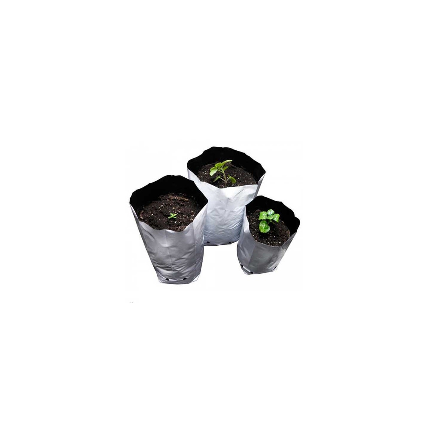 Bolsa De Cultivo 100 Unidades de Genericos MP