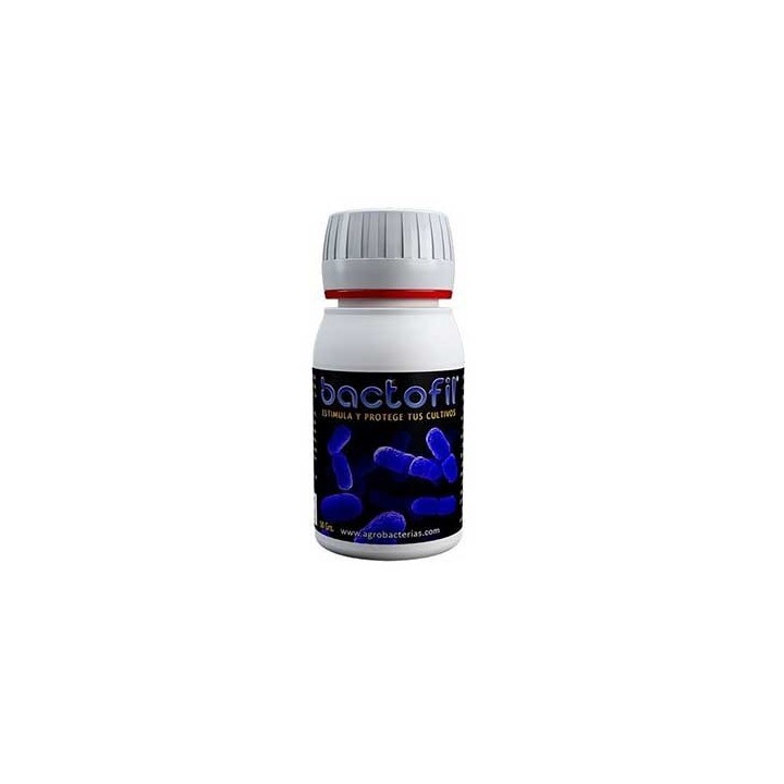 Bactofil de Agrobacterias