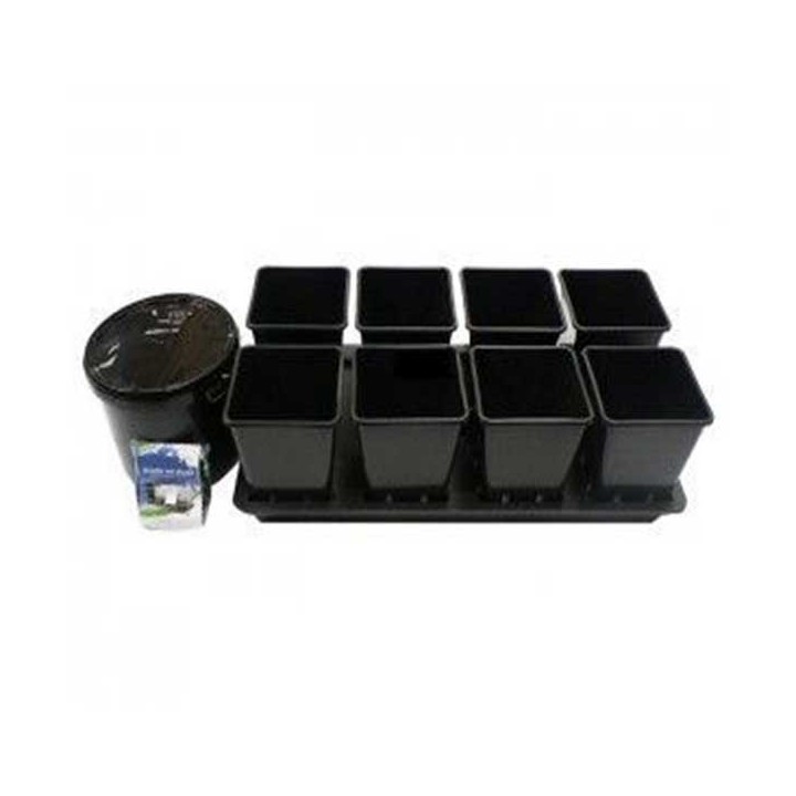 Octogrow de Genericos MP