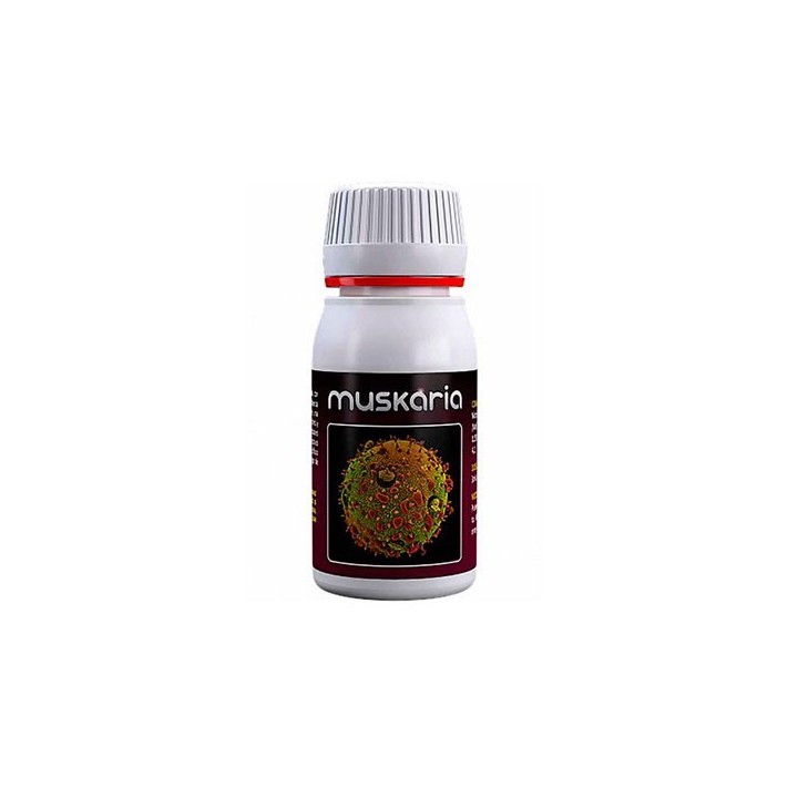 Muskaria 60 ml de Agrobacterias