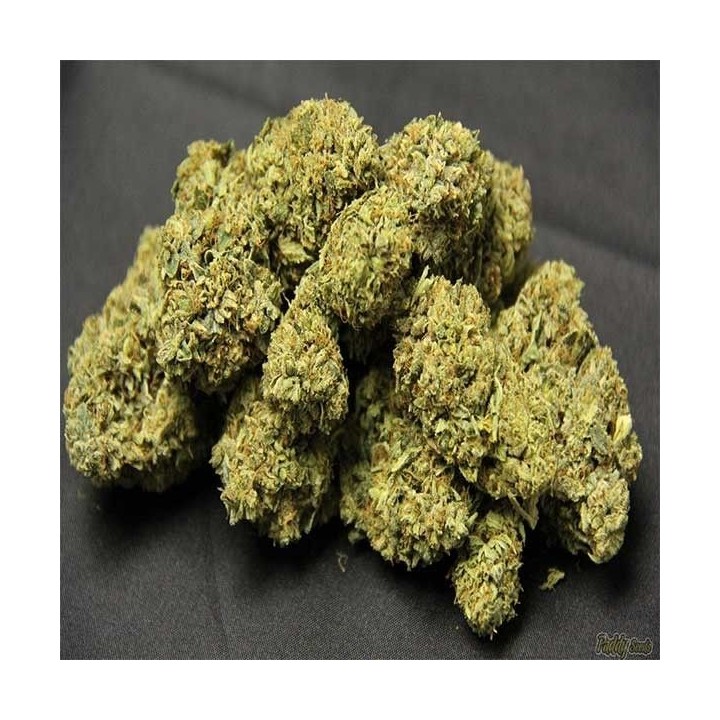 OG Kush Feminizada (A Granel) de Genericos MP
