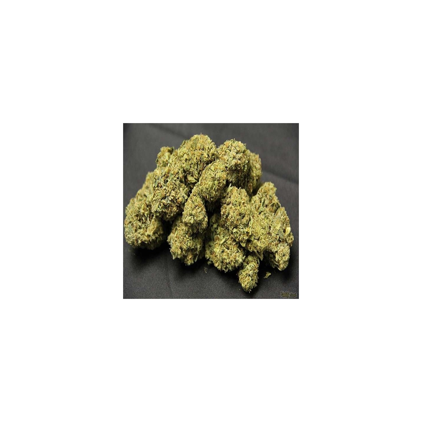 OG Kush Feminizada (A Granel) de Genericos MP