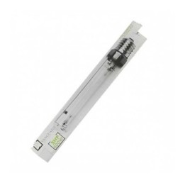Bombilla Vanguard SHP 600 W de Vanguard
