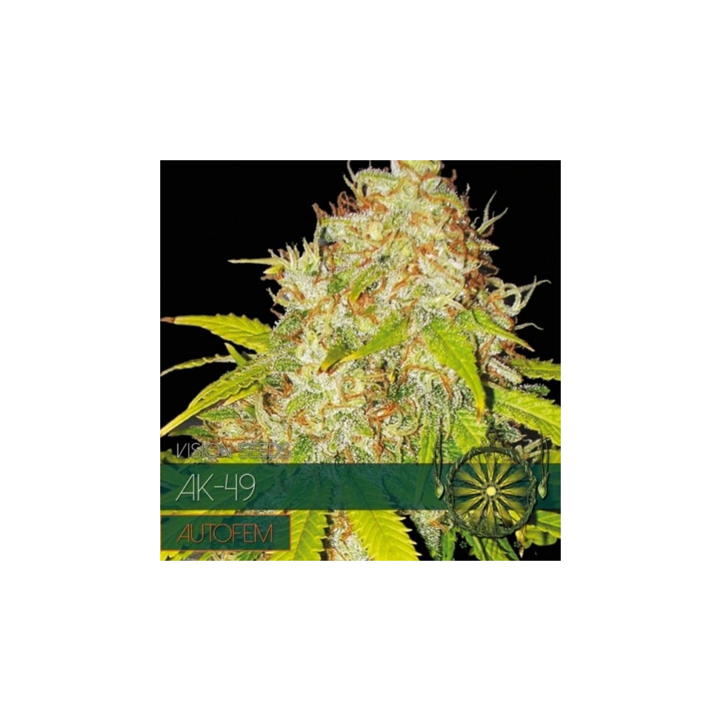 AK-49 Autofloreciente Feminizada de Vision Seeds