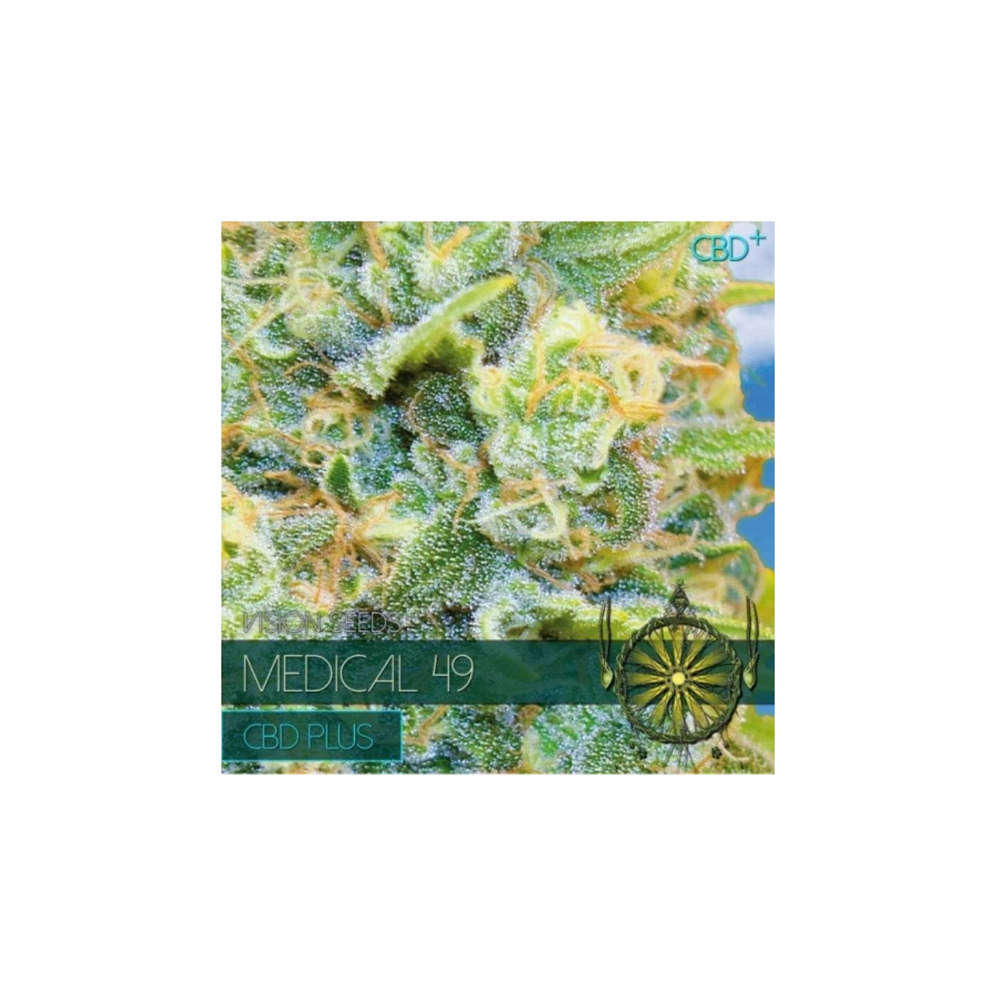 Medical 49 CBD+ Feminizada de Vision Seeds