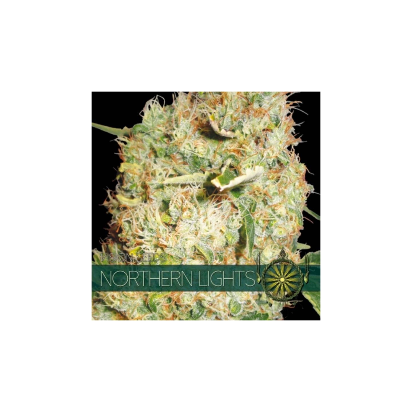 Northern Lights Feminizada de Vision Seeds
