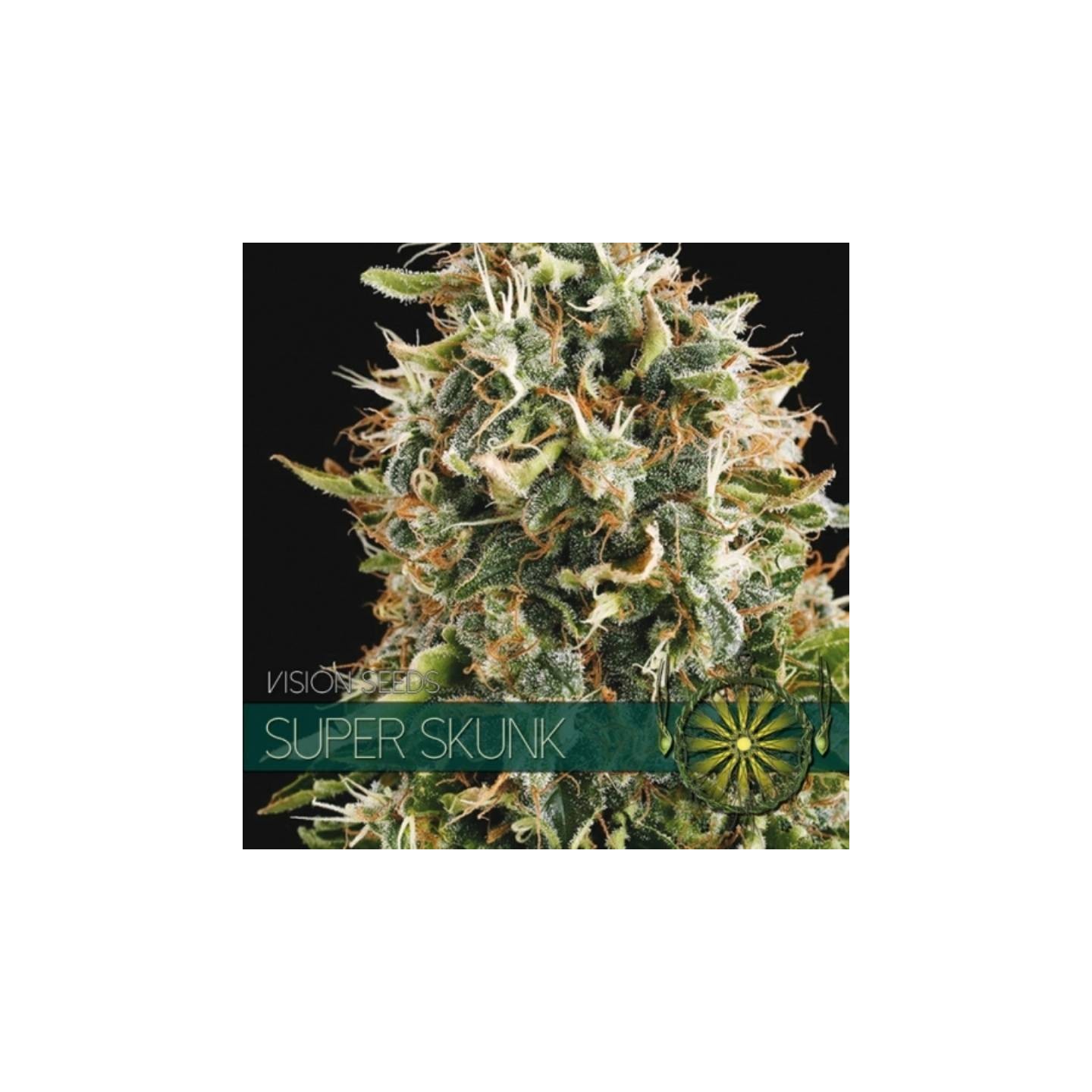 Super Skunk Feminizada de Vision Seeds