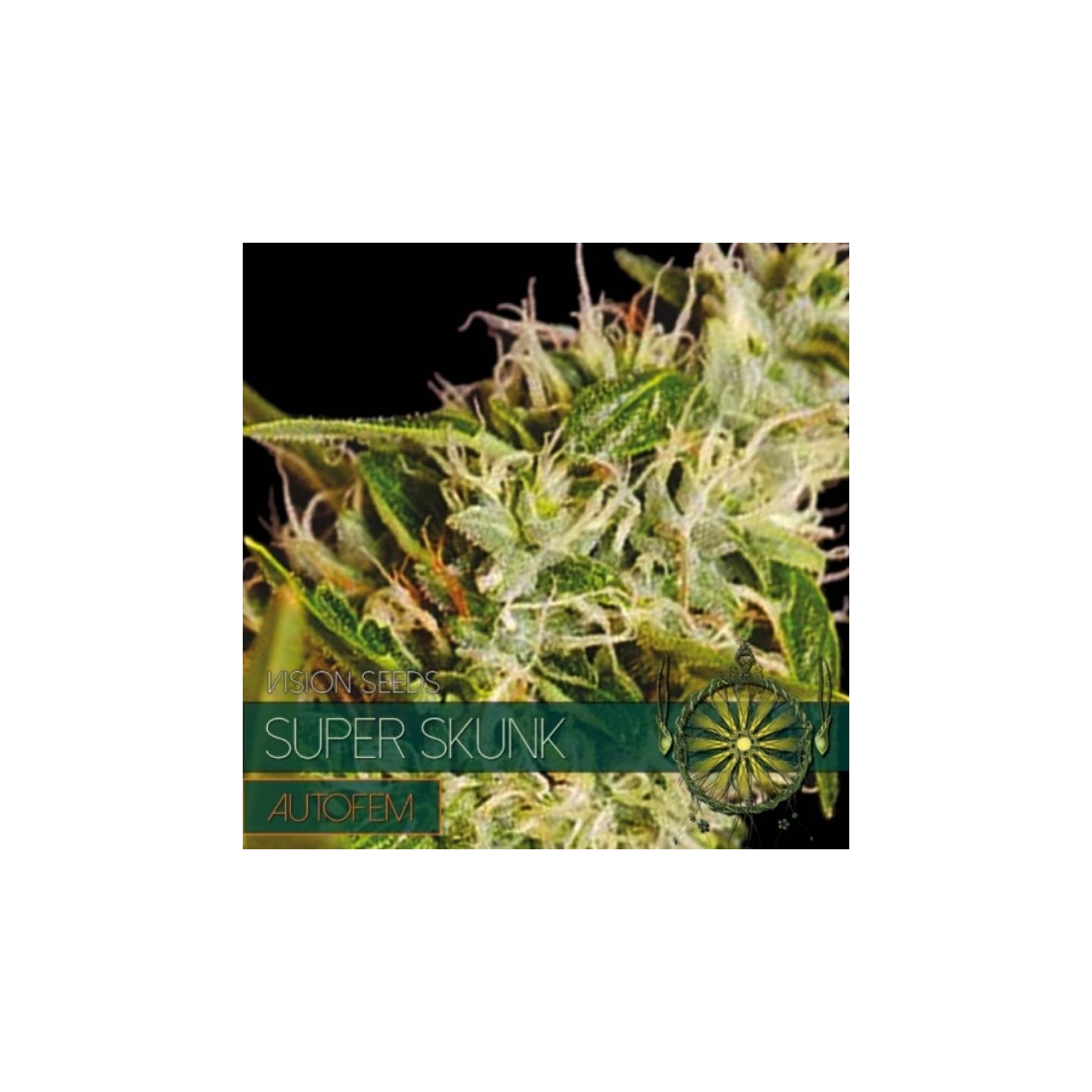 Super Skunk Autofloreciente Feminizada de Vision Seeds