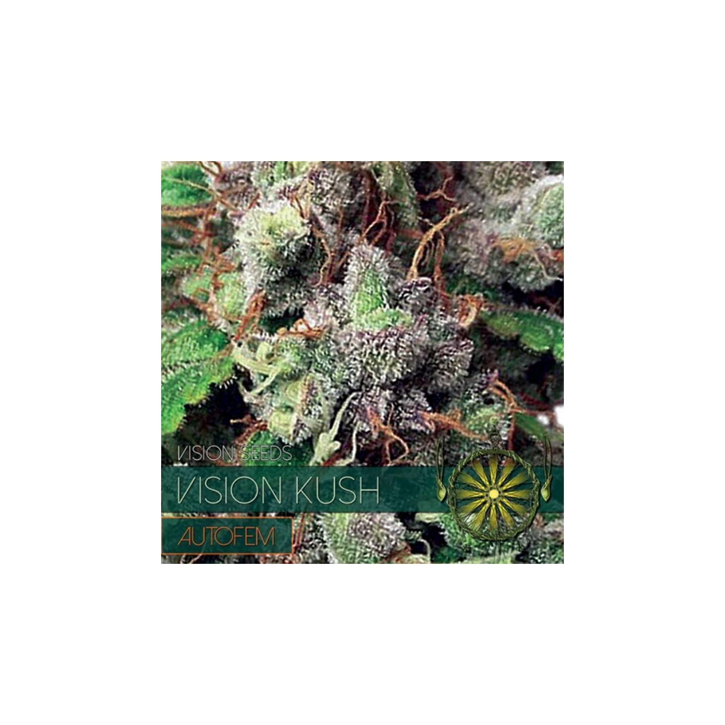 Vision Kush Autofloreciente Feminizada de Vision Seeds
