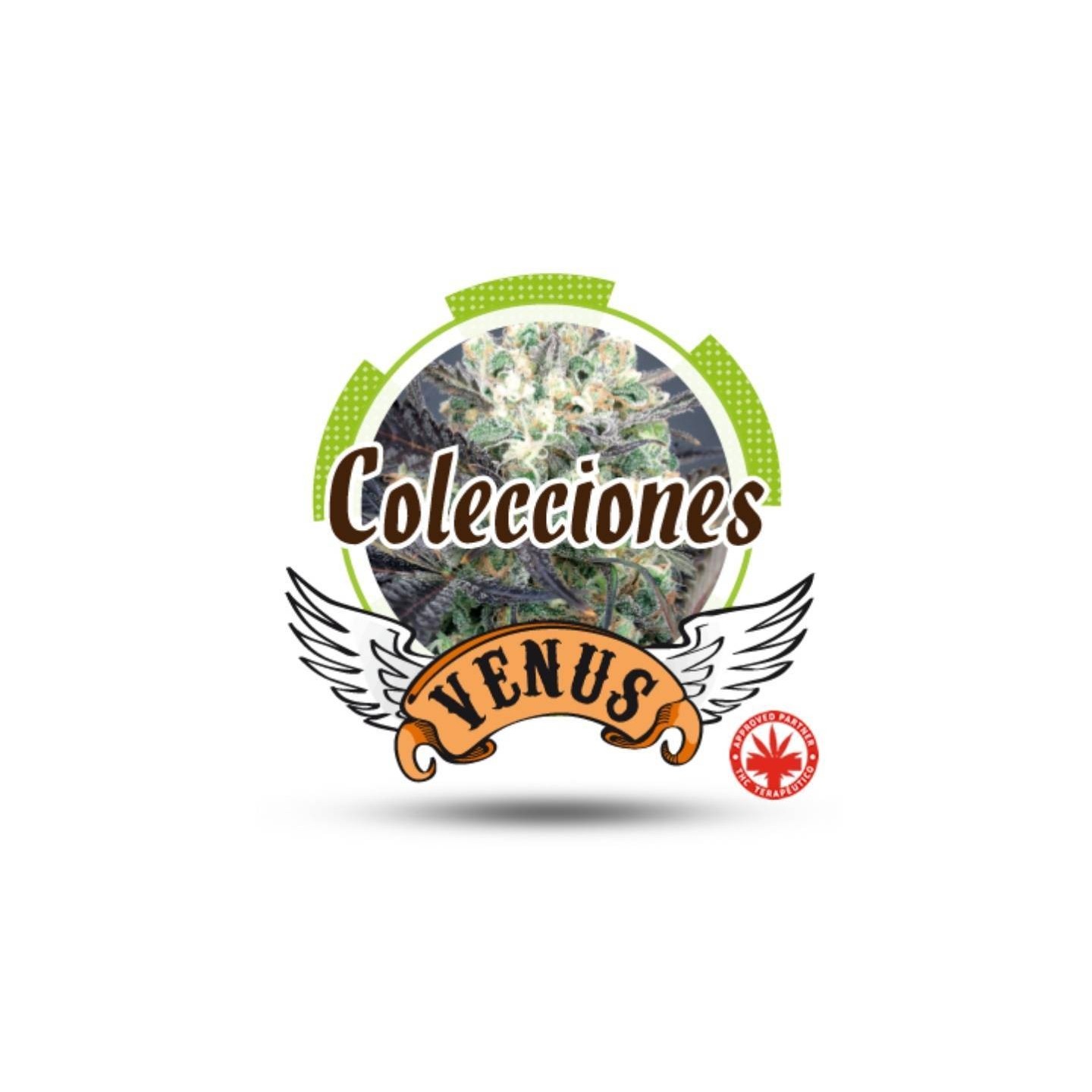 Colección 1 Feminizada de Venus Genetics