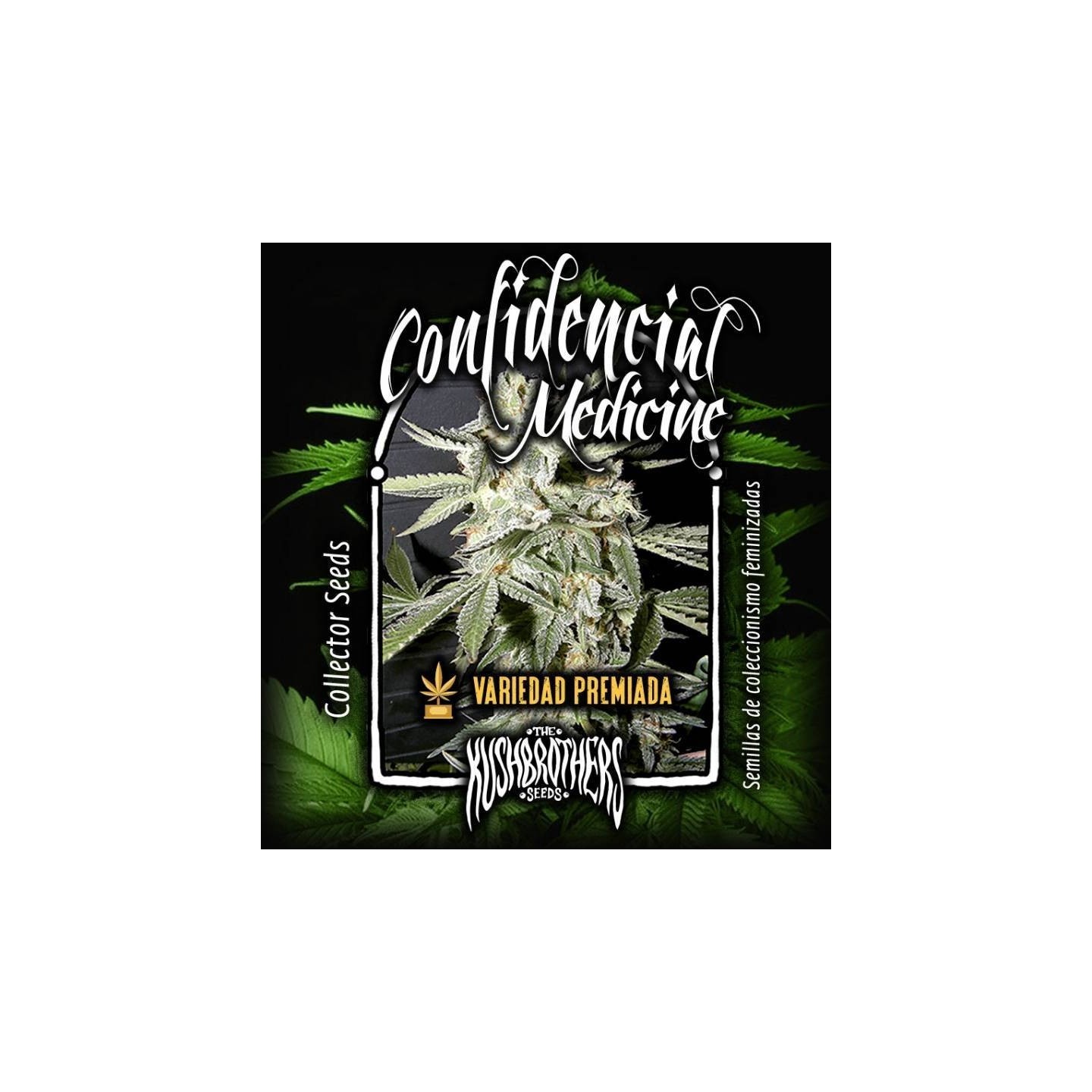 Confidential Medicine Feminizada de The Kush Brothers Seeds
