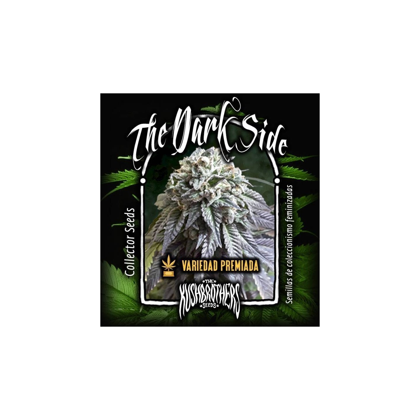 The Dark Side Feminizada de The Kush Brothers Seeds