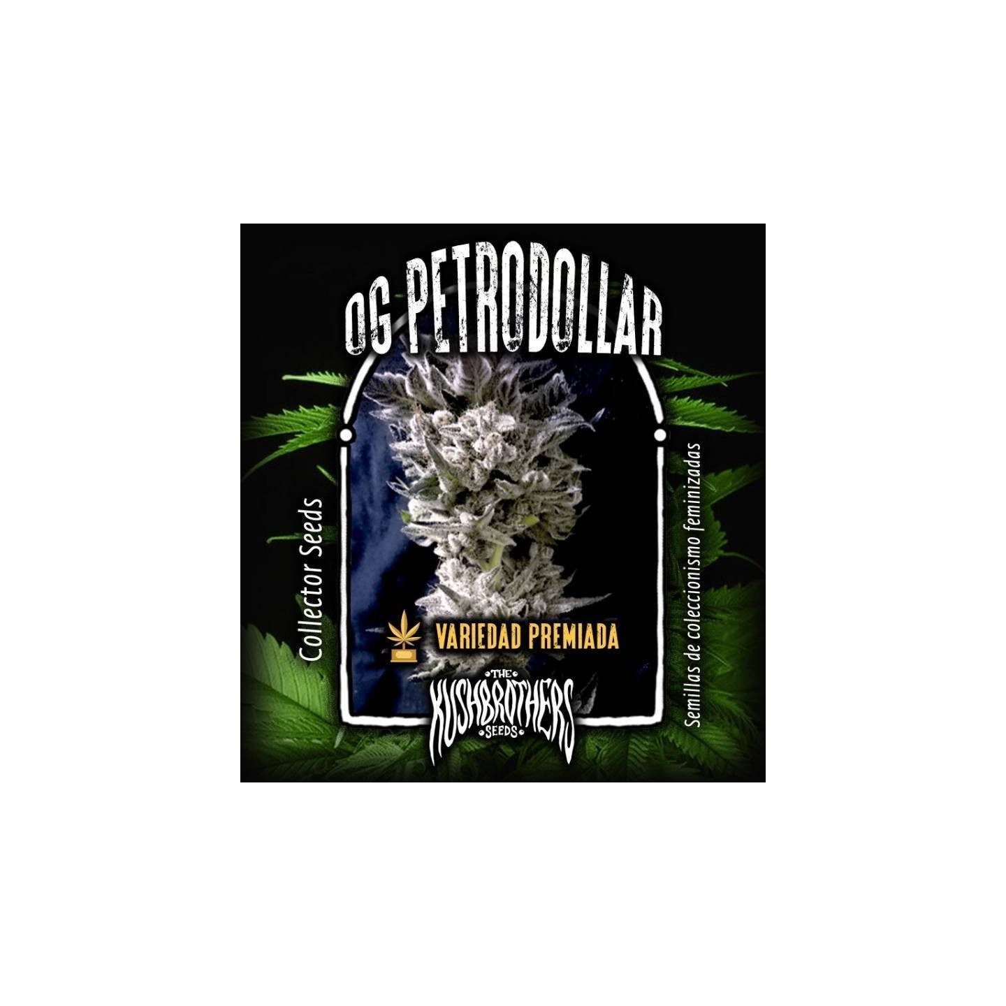 Petro $ Og Feminizada de The Kush Brothers Seeds