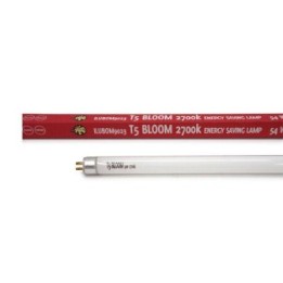 Bombilla Pure Light T-5 Bloom de Genericos MP