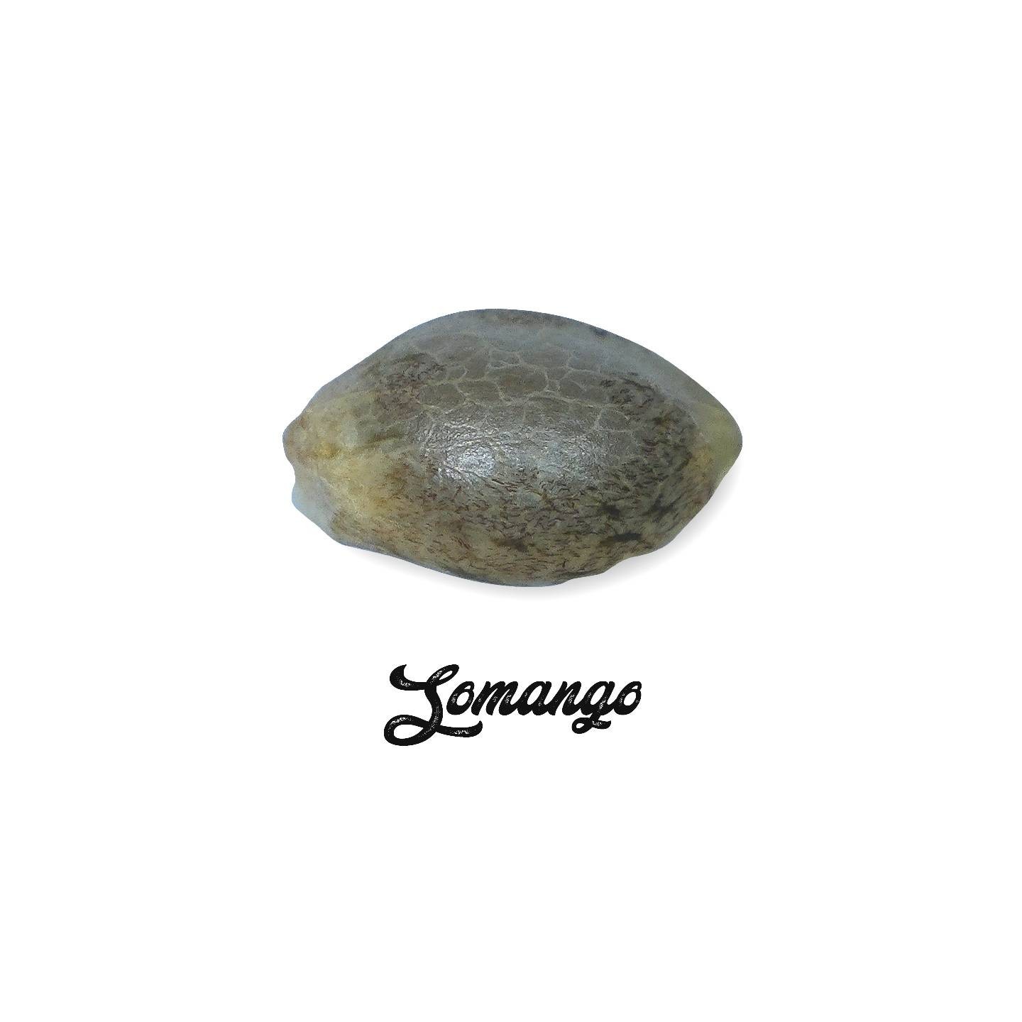 Somango Feminizada (a granel) - OS de Genericos MP