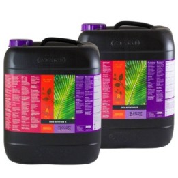 B'Cuzz Coco Nutrition A&B de Atami
