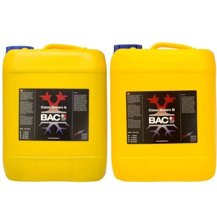 Coco Bloom A&B de B.A.C.