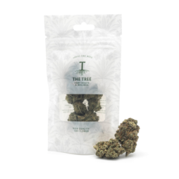 Gelato CBD de The Tree CBD