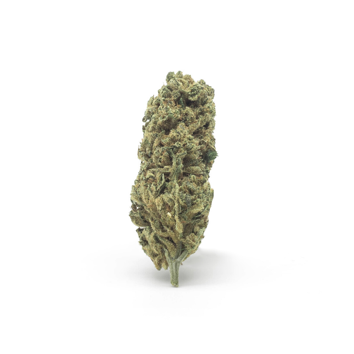 Cogollo de Marihuana Lemon CBD legal en España - Matillaplant