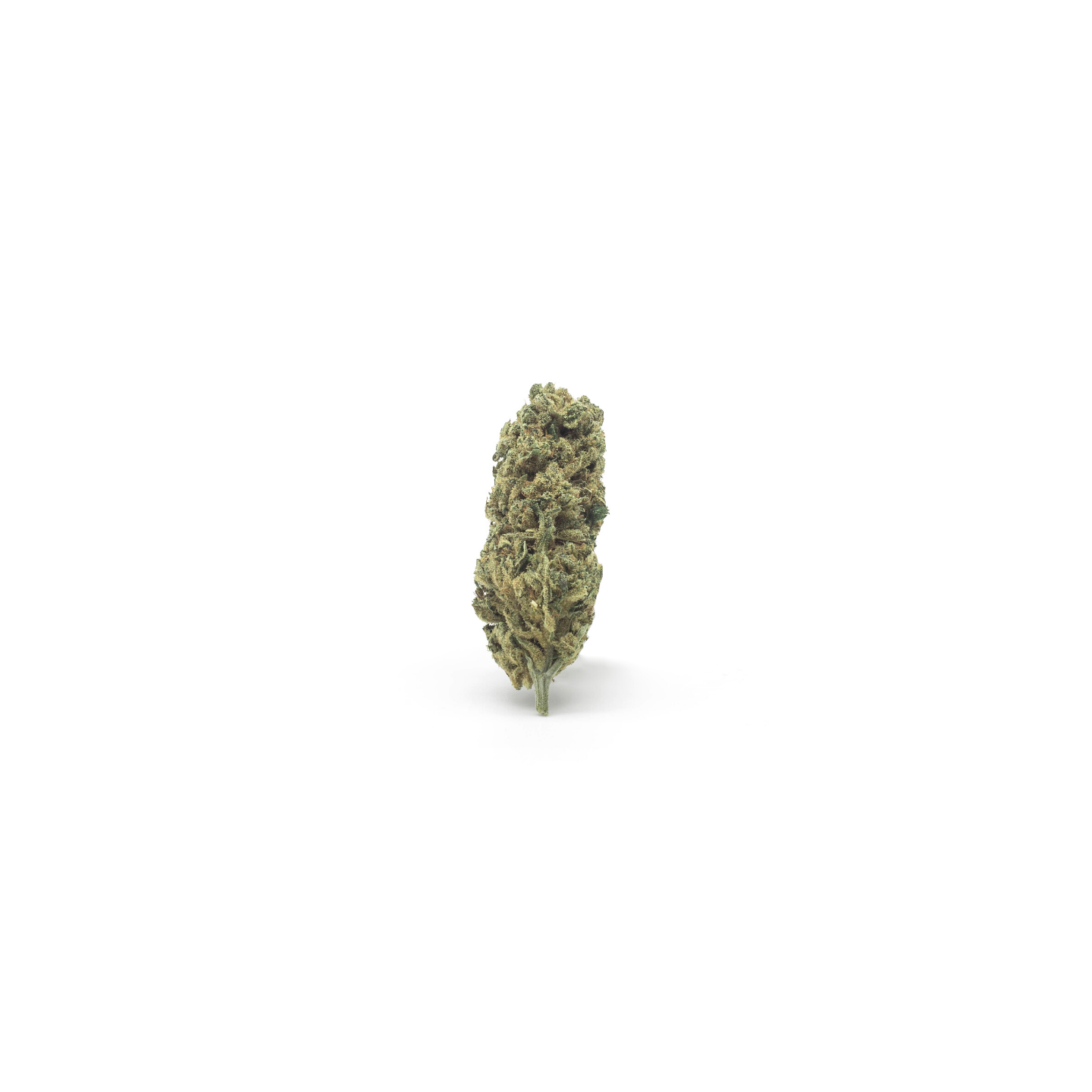 Cogollo de Marihuana Lemon CBD legal en España - Matillaplant