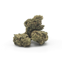 Sundae Driver CBD de The Tree CBD