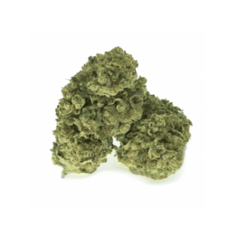 Haze CBD de The Tree CBD