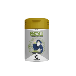 Clonadon enraizamiento de esquejes de Cannaboom