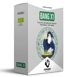 Bang X1 de Cannaboom