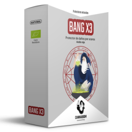 Bang-X3 de Cannaboom