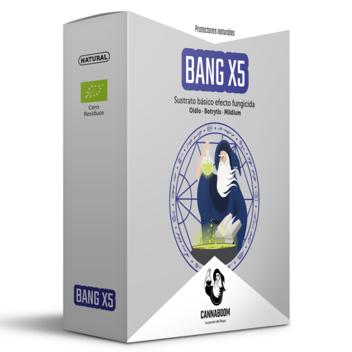 Bang X5 de Cannaboom