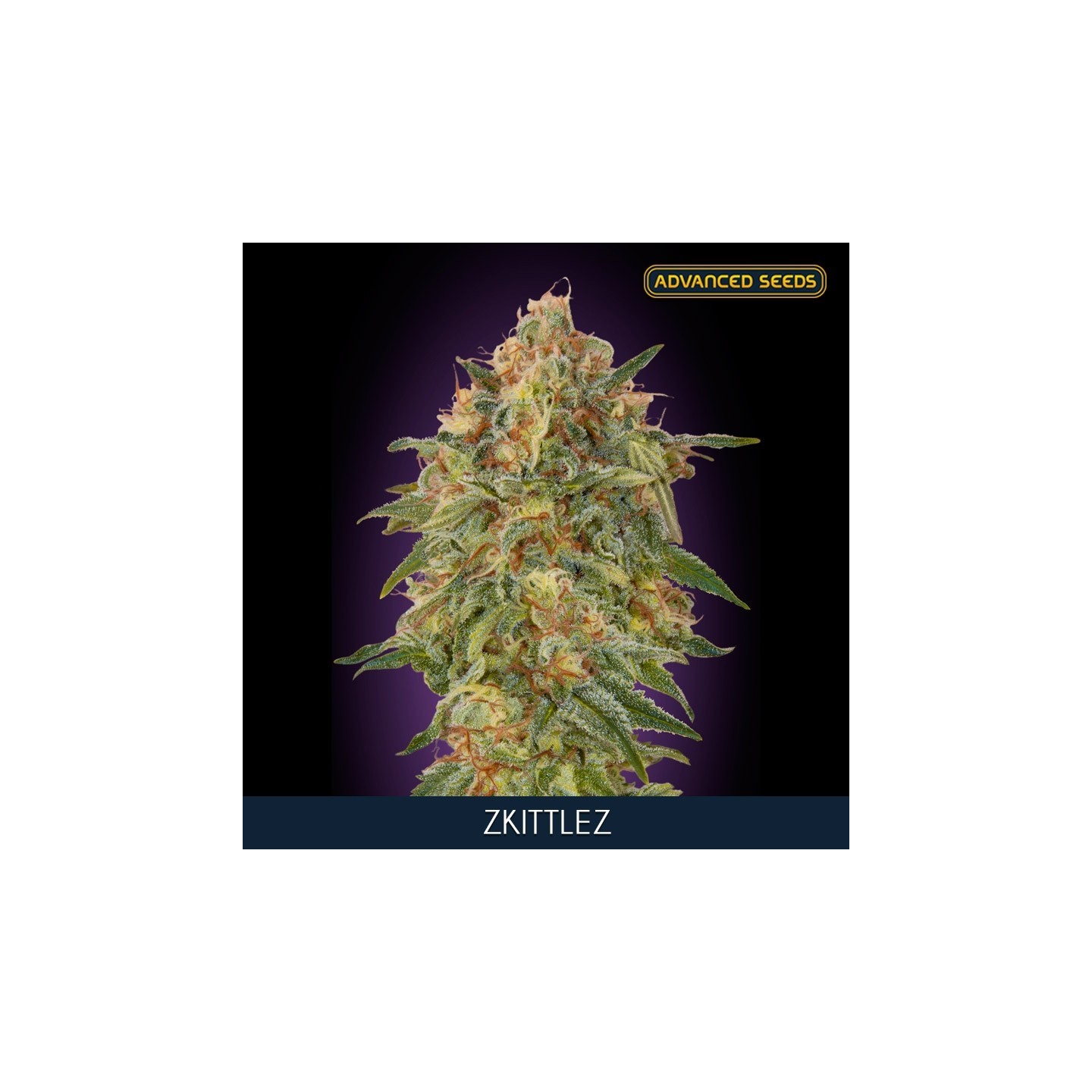 Zkittlez Feminizada de Advanced Seeds