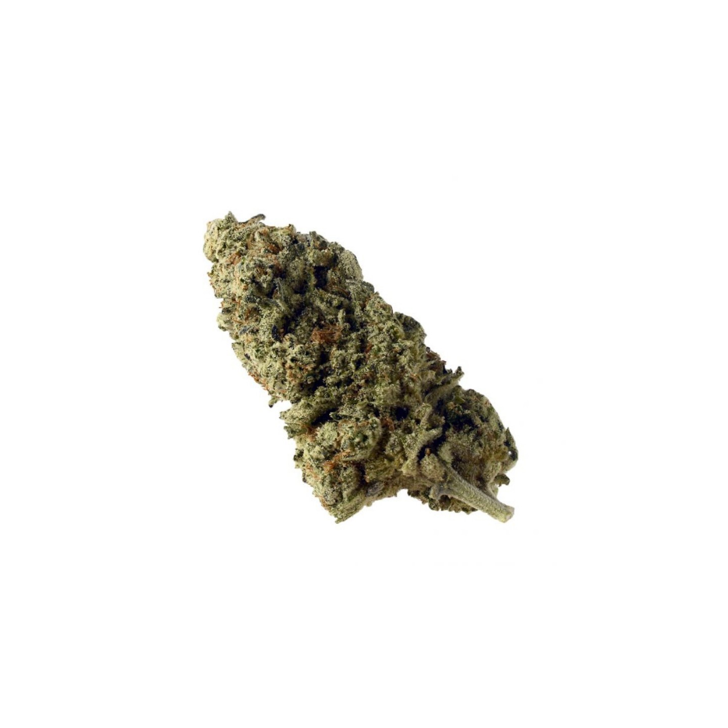 Green Magic Feminizada de Amsterdam Genetics