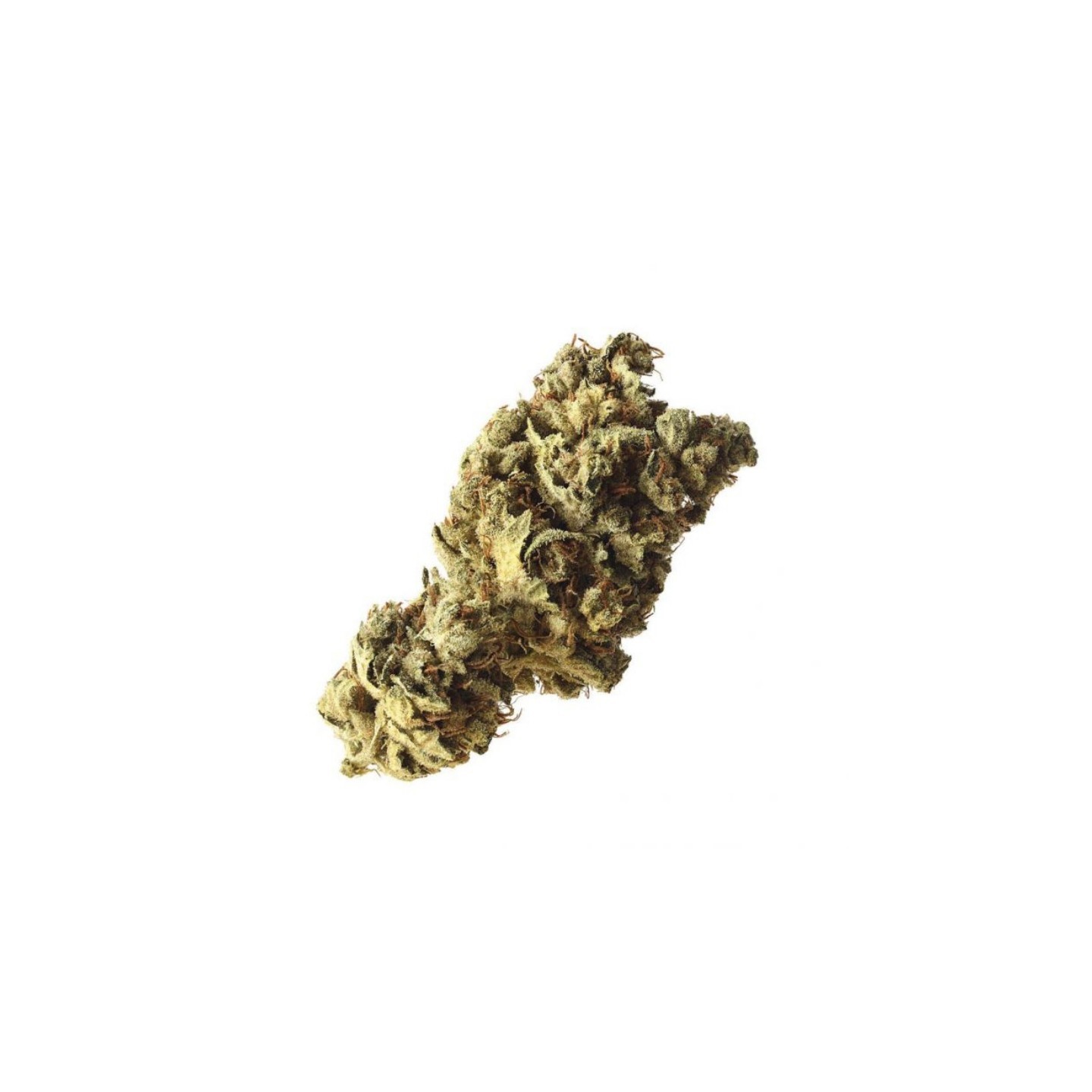 Pineapple Kush Feminizada de Amsterdam Genetics
