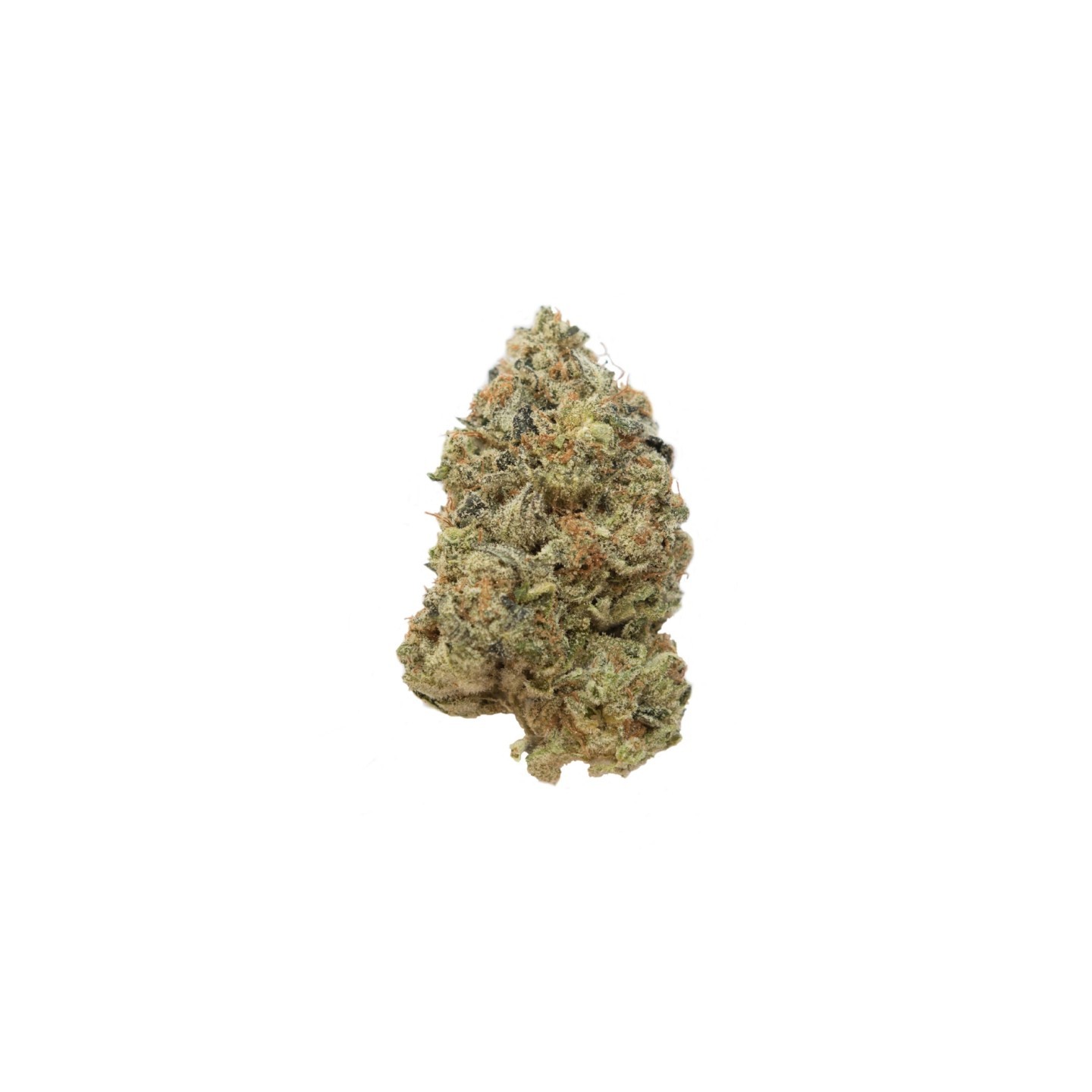 Tangerine G13 Feminizada de Amsterdam Genetics