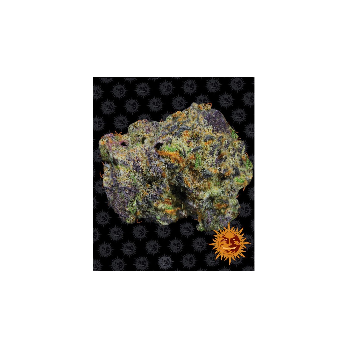 Runtz Muffin Feminizada de Barney's Farm
