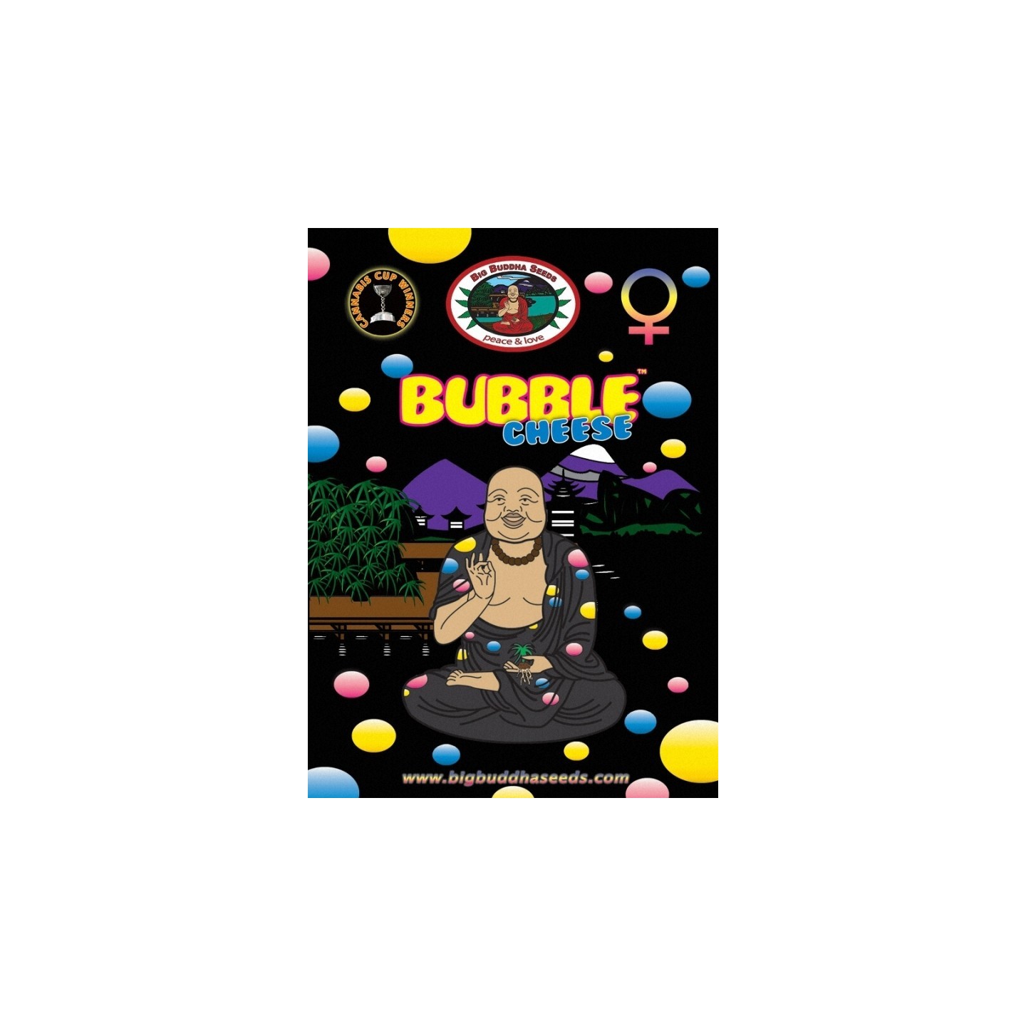 Double Cheese de Big Buddha Seeds