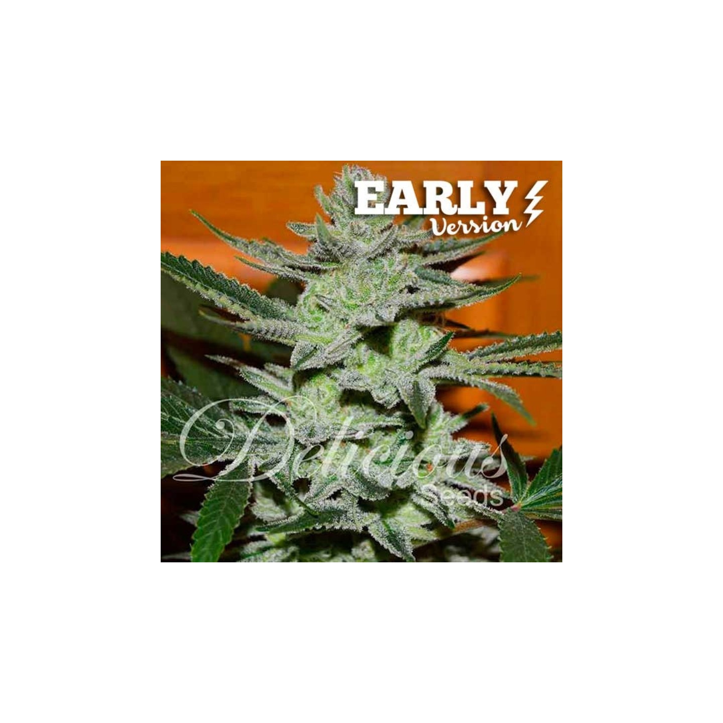Unknown Kush (Early Version) de Delicious