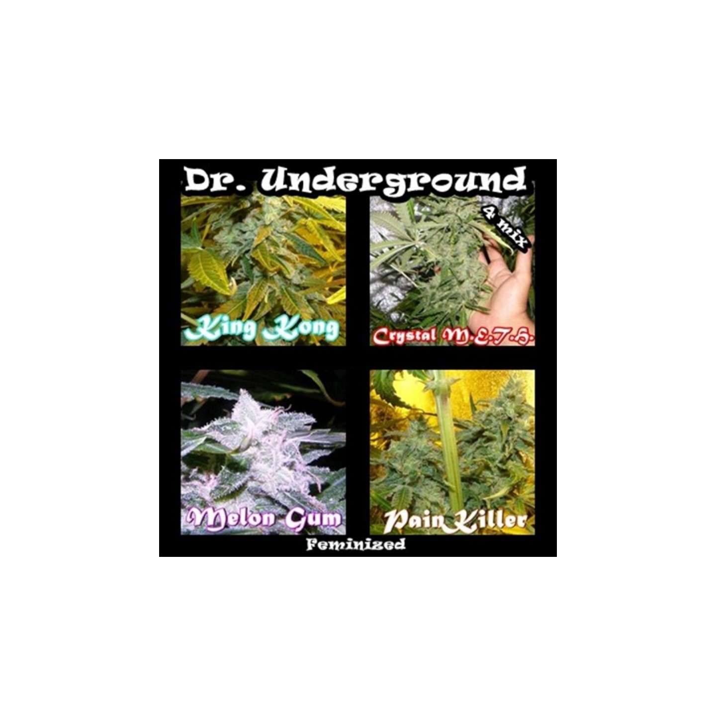 Surprise Killer Mix de Dr Underground