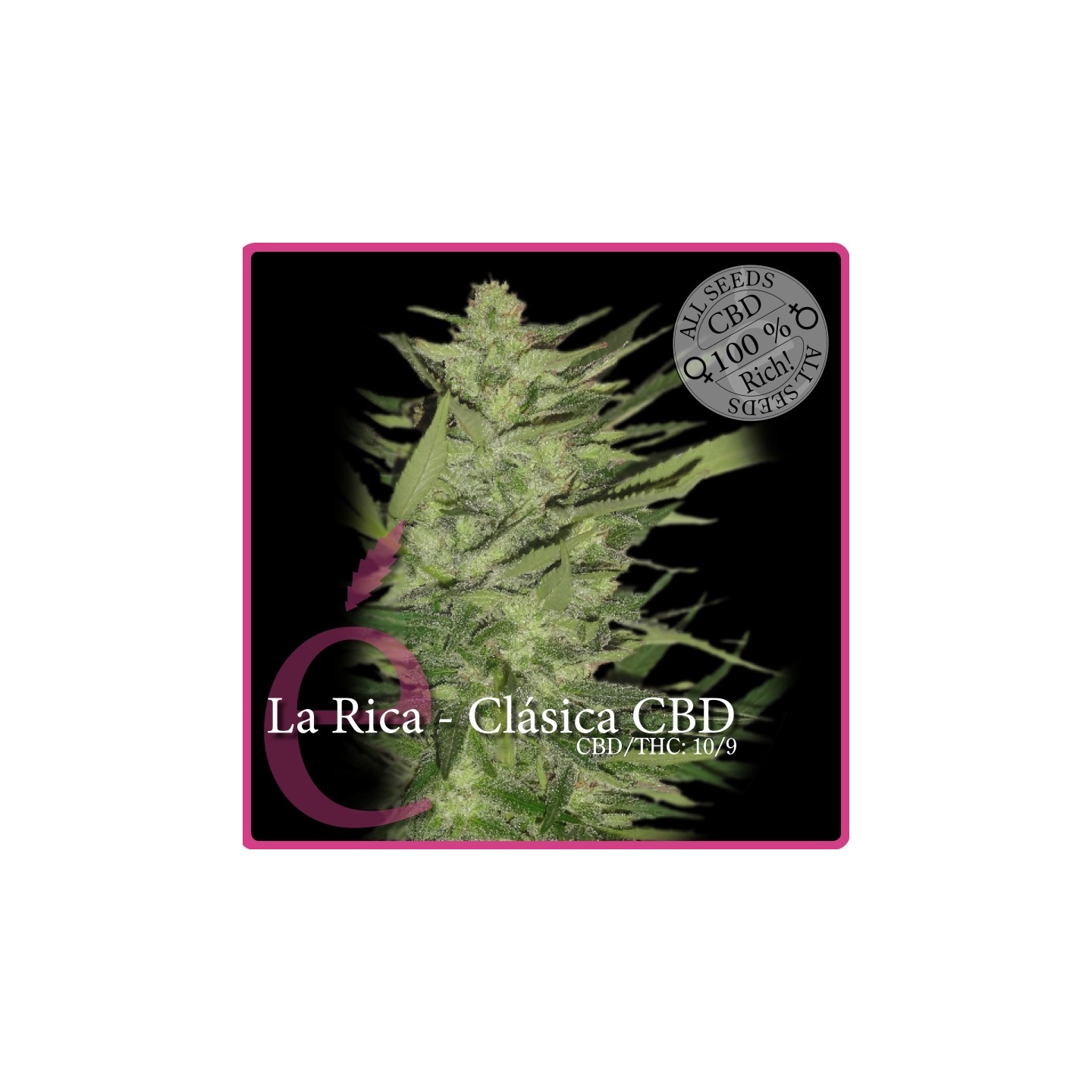 La Rica CBD de Elite Seeds