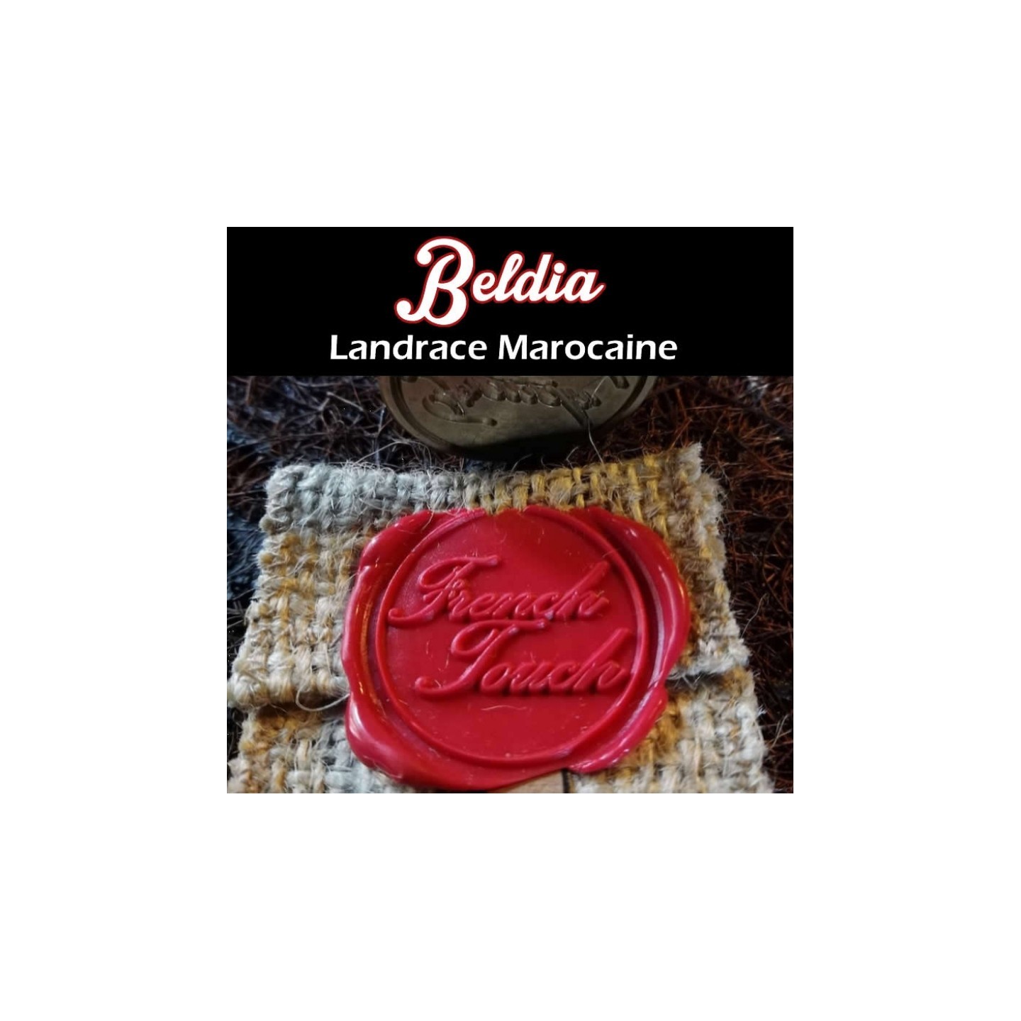 Beldia Regular de French Touch Seeds