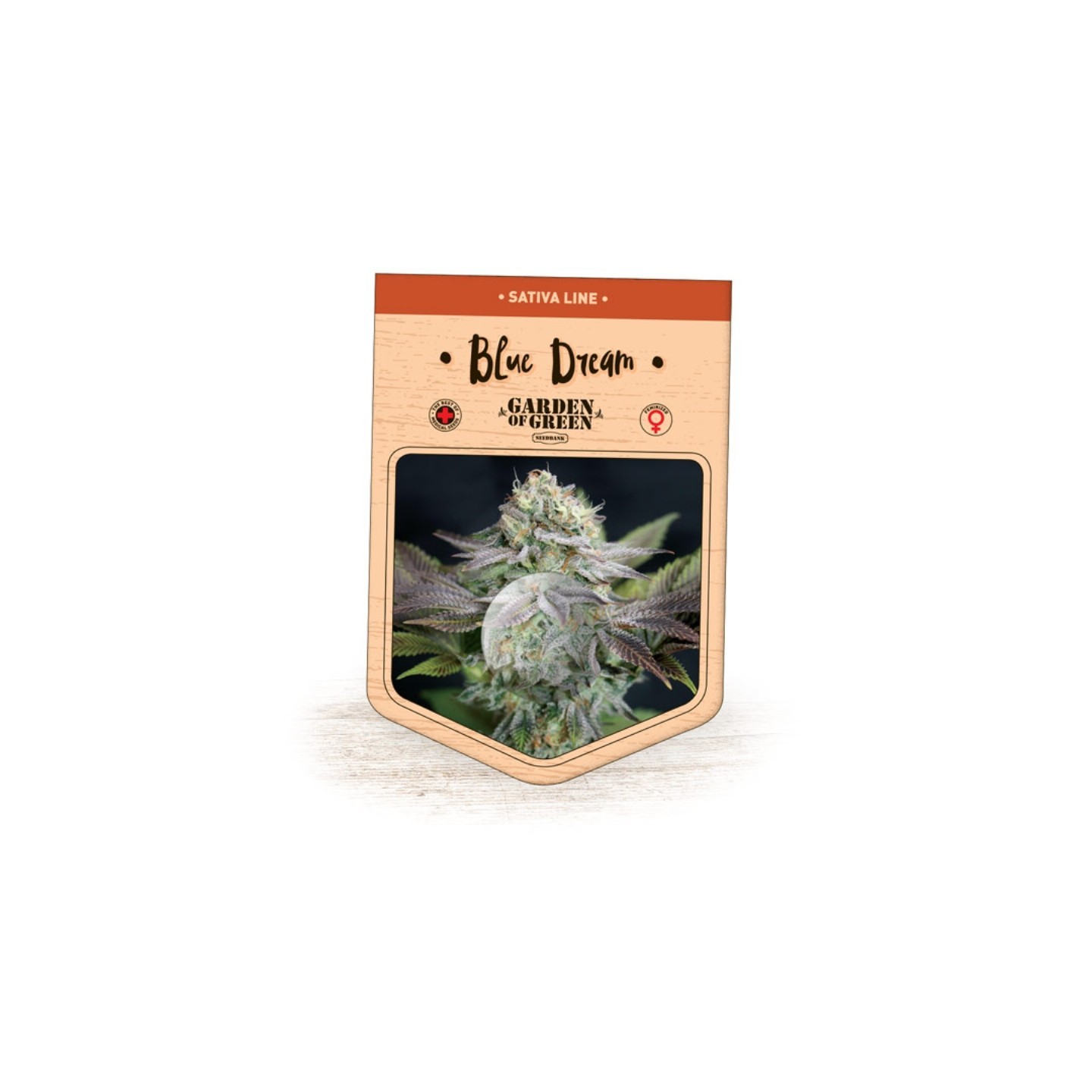 Blue Dream de Garden of Green