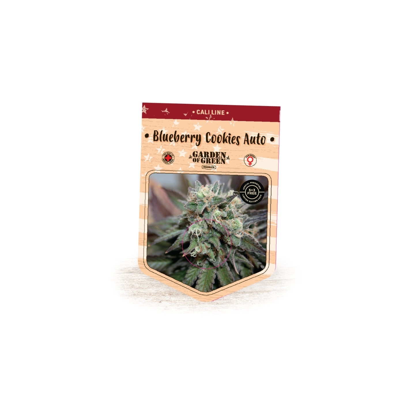 Blueberry Cookies Auto de Garden of Green