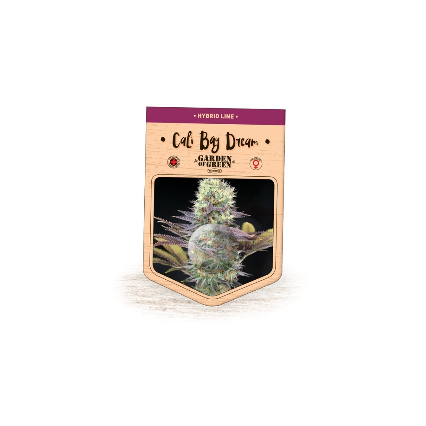 Cali Bay Dream de Garden of Green