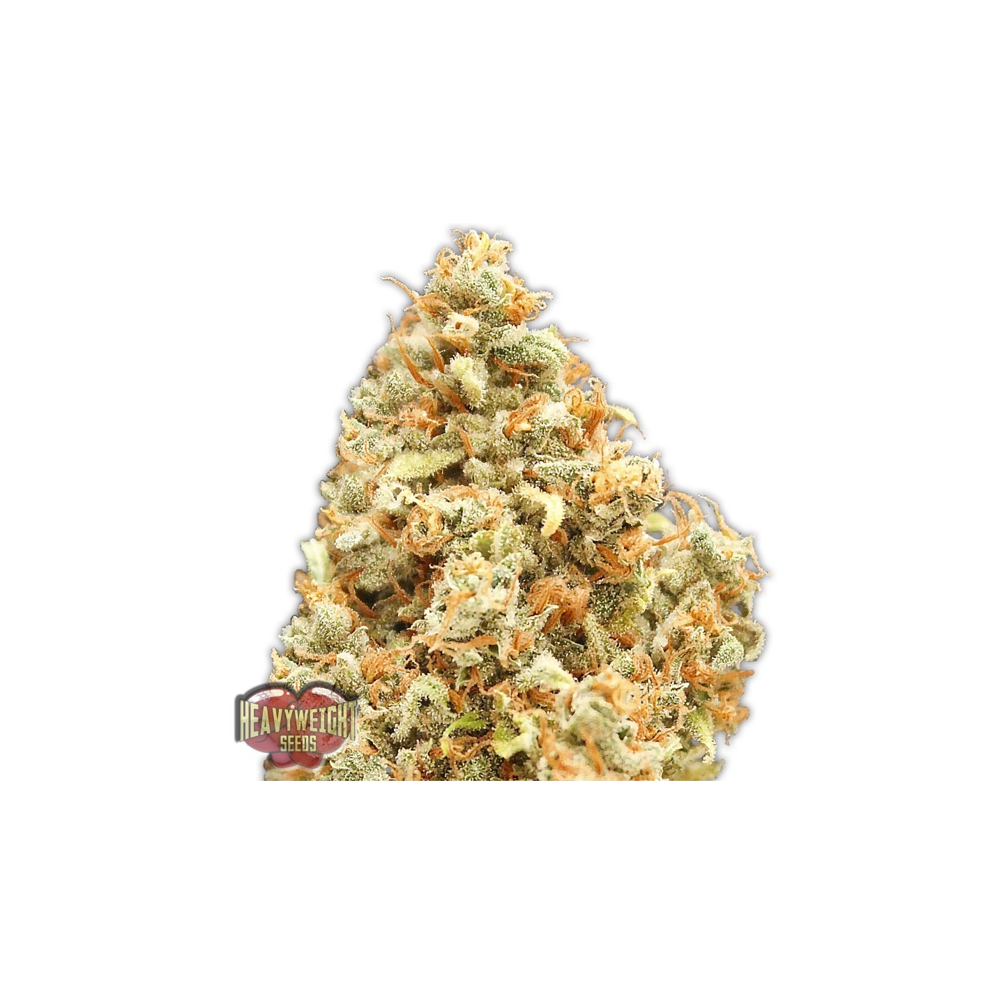 Monster Profit de Heavyweight Seeds