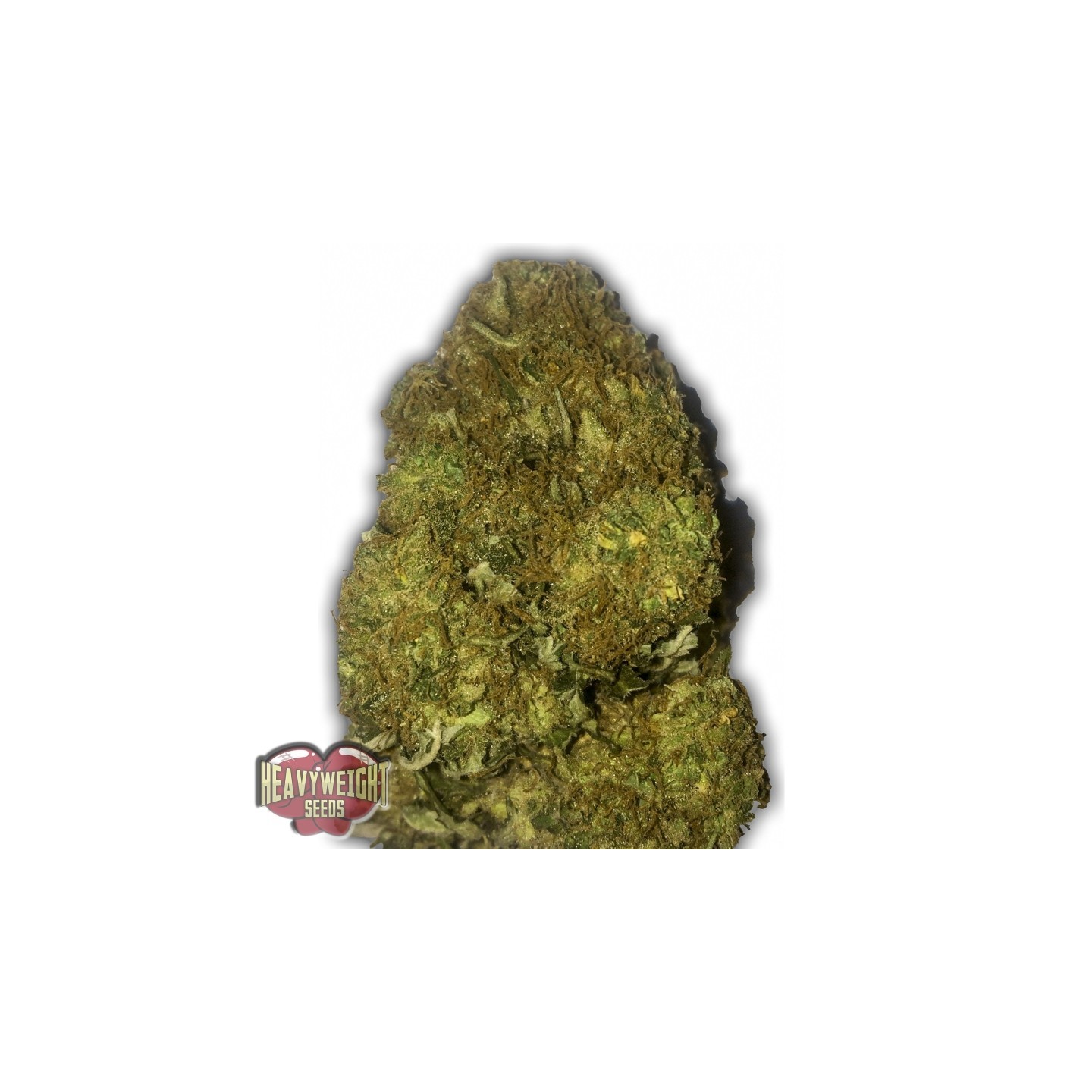 Skunky Monkey Auto de Heavyweight Seeds