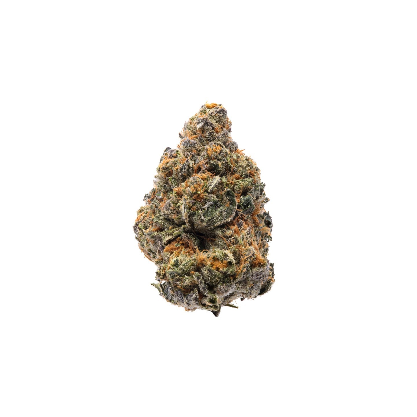 The New de Humboldt Seeds