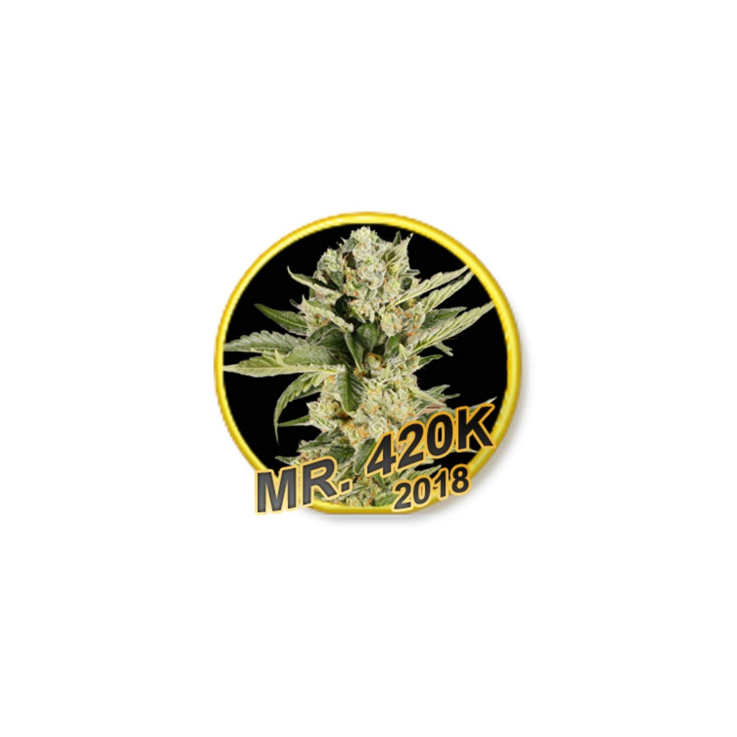 Mr 420k (Usa Strains) Regular de Mr. Hide Seeds